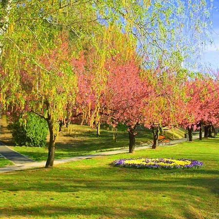 Napfeny 3* 佐洛卡罗斯