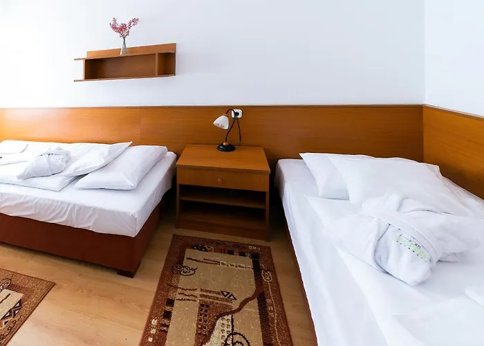 ホテル Napfeny ザラカロシュ