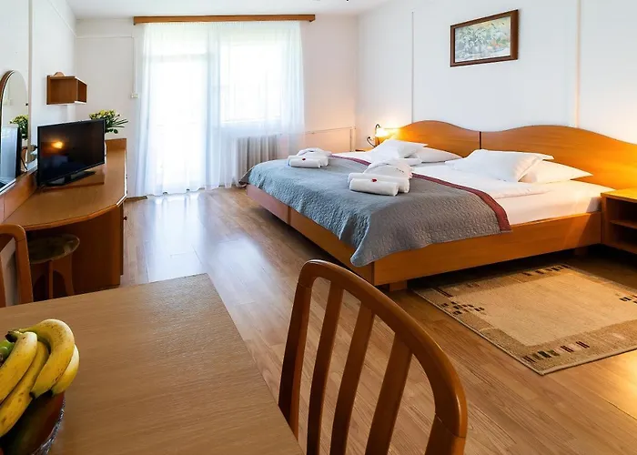 ホテル Napfeny 3*