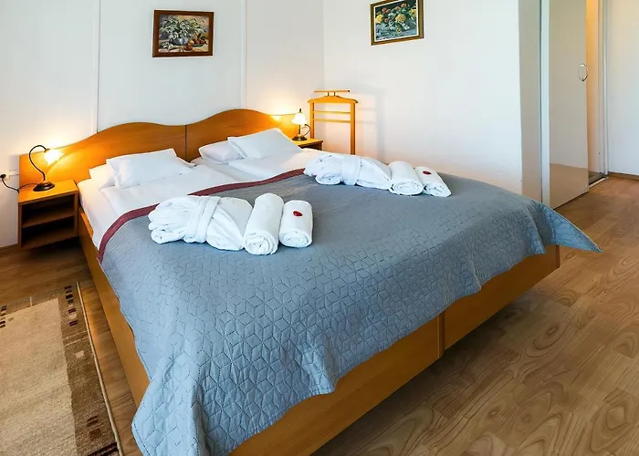 ホテル Napfeny ザラカロシュ