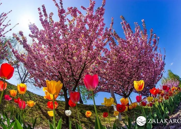 Napfeny ホテル 3*