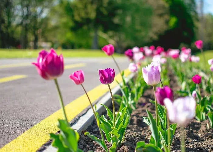Napfeny ホテル ザラカロシュ