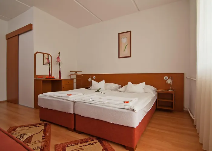 ホテル Napfeny 3*