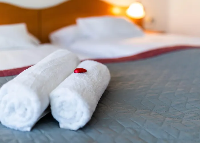 ホテル Napfeny 3*