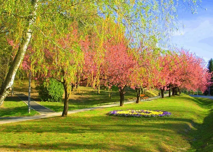 Napfeny 3* ザラカロシュ